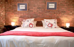 Troutways_Rainbow_0412