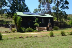 troutways-logcabin-2025-01